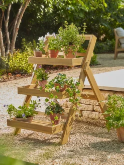 Acacia Plant Stand