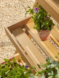 Acacia Plant Stand