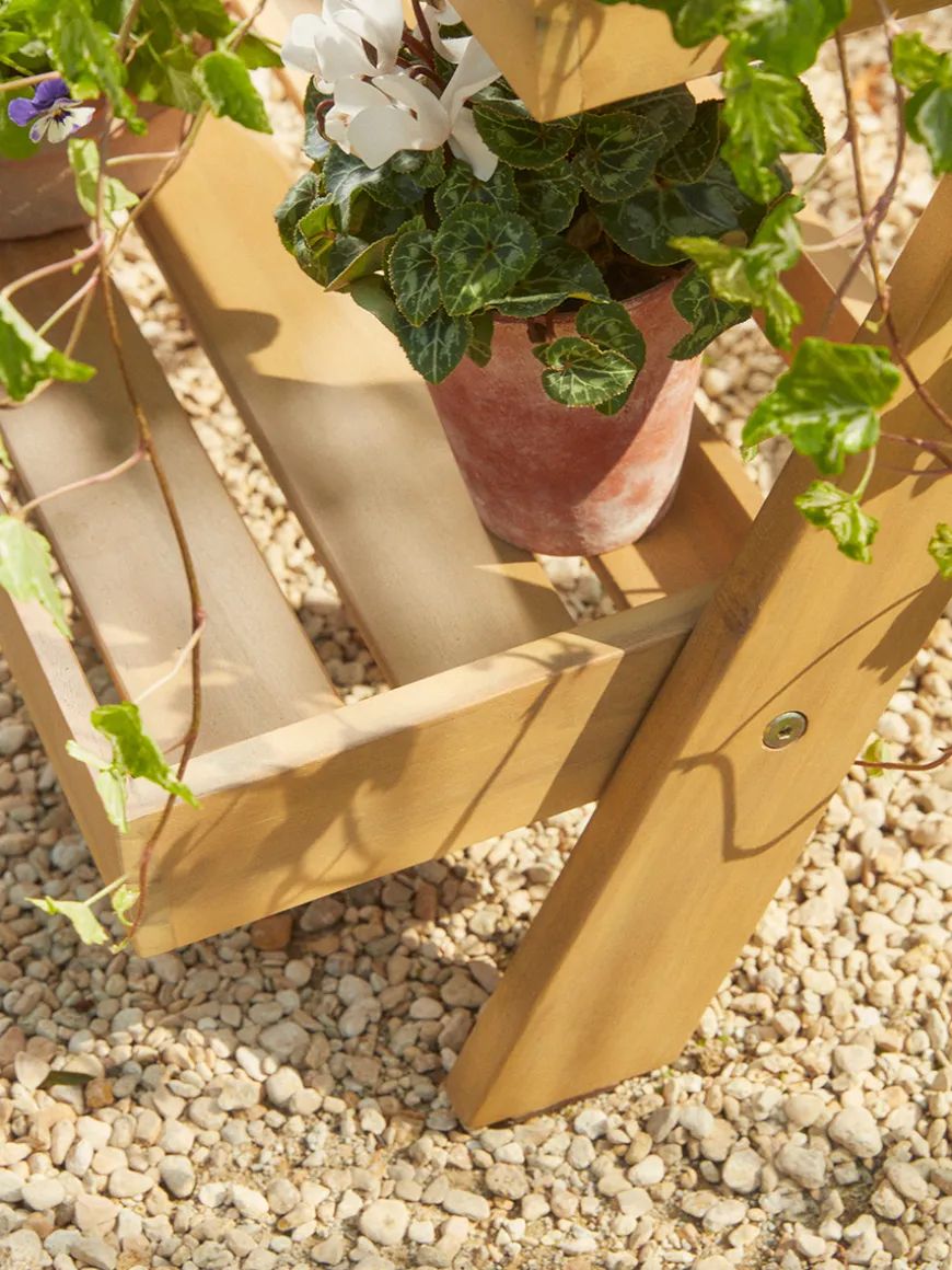 Acacia Plant Stand