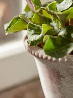 Aged Effect Ceramic Planter
