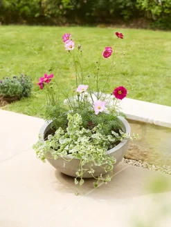 Alder Planter