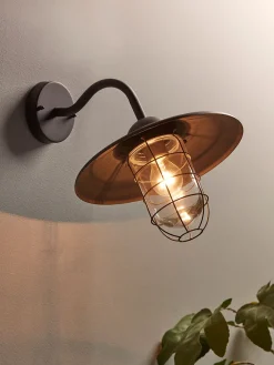 Cage Swan Neck Wall Light