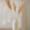 Cala Vase