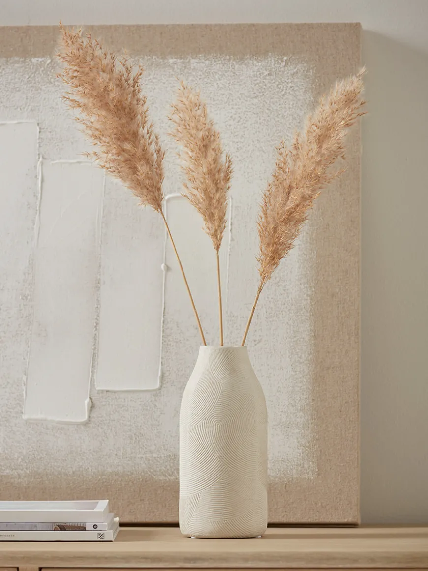 Cala Vase