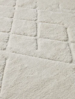 Claudia Rug