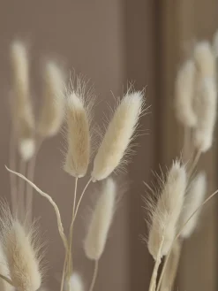 Dried Bunny Tail Bouquet