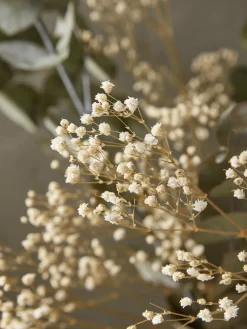 Dried Eucalyptus & Gypsophila Bouquet