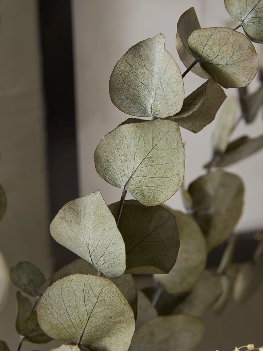 Dried Eucalyptus & Gypsophila Bouquet