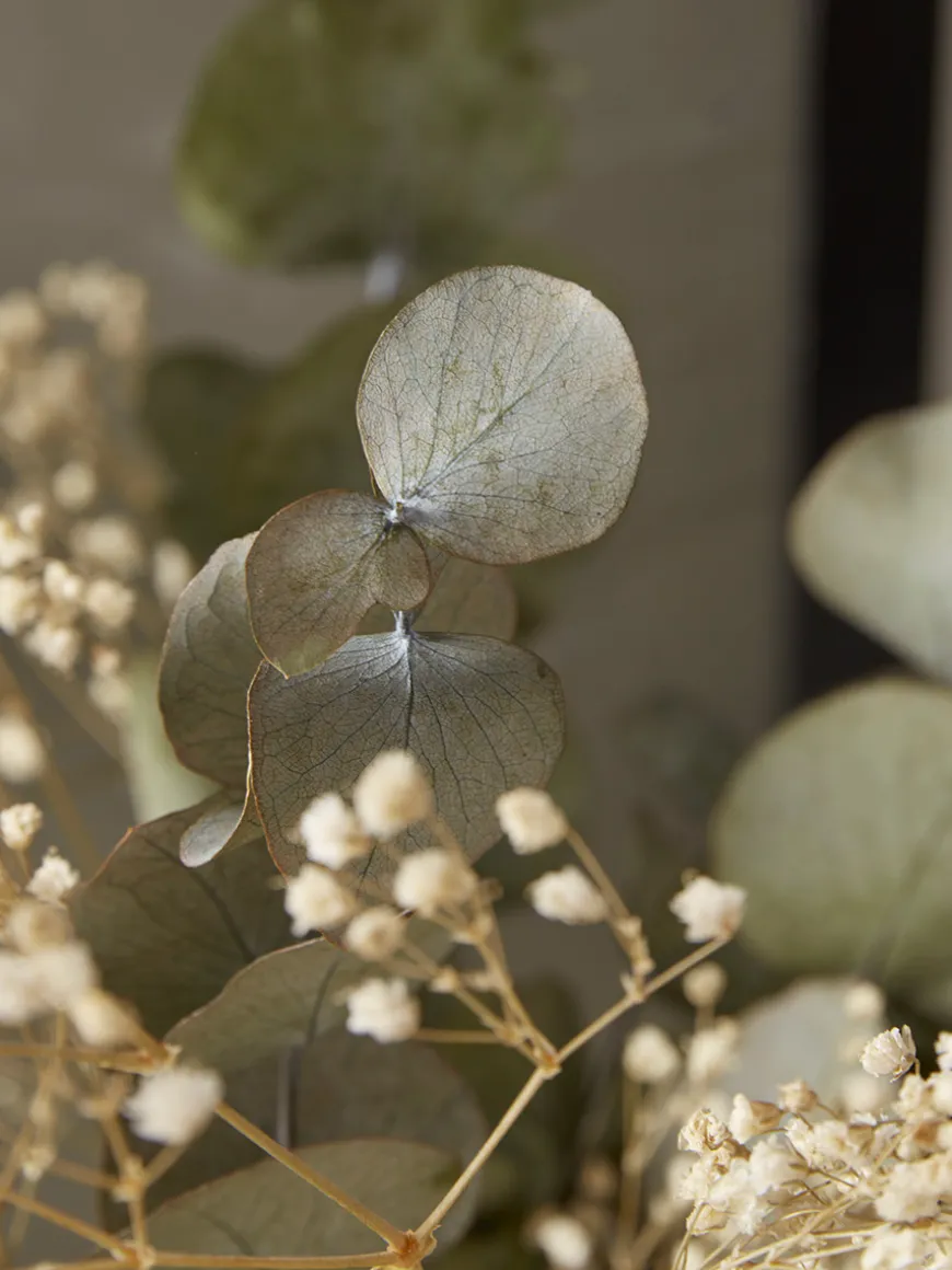 Dried Eucalyptus & Gypsophila Bouquet