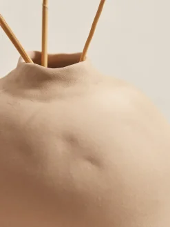 Earthenware Vase