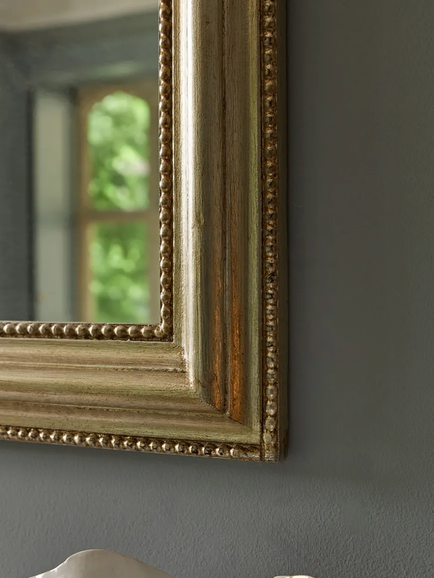Evianna Mirror
