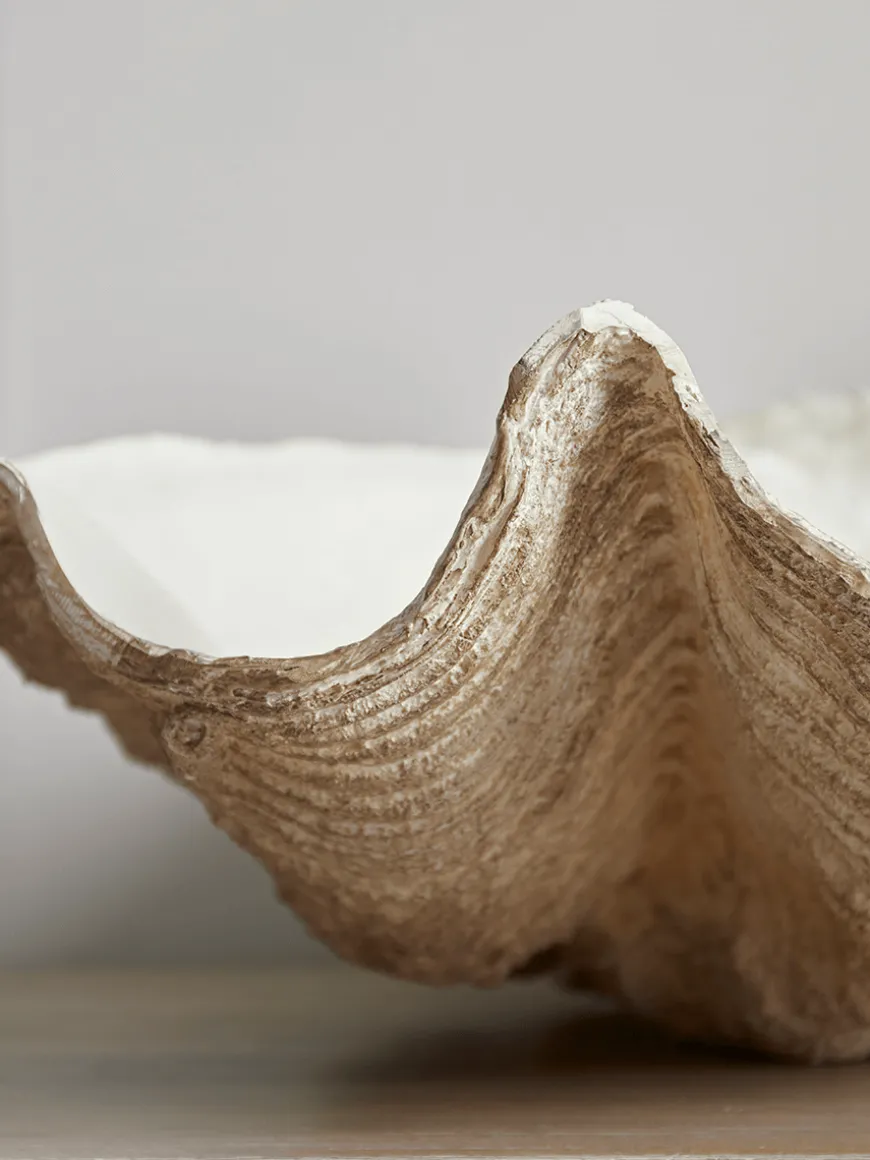 Faux Clam Shell