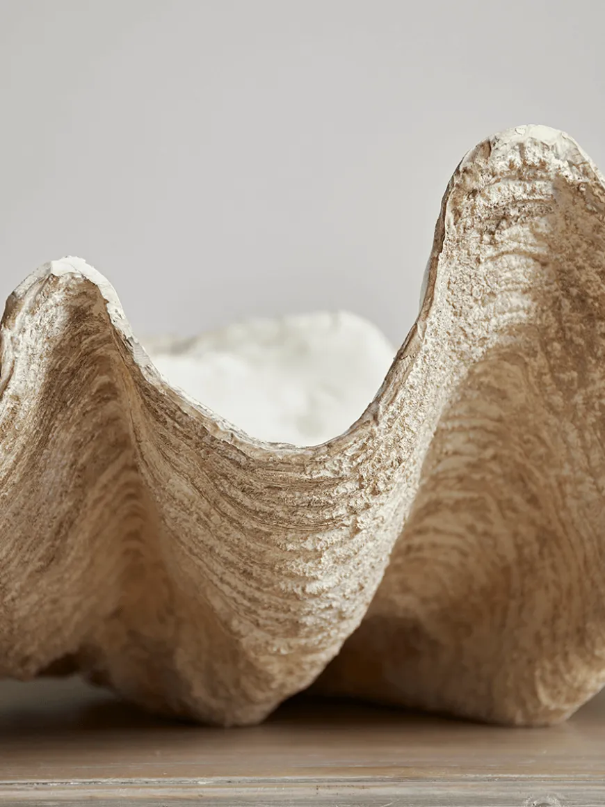 Faux Clam Shell