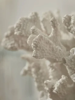 Faux Coral