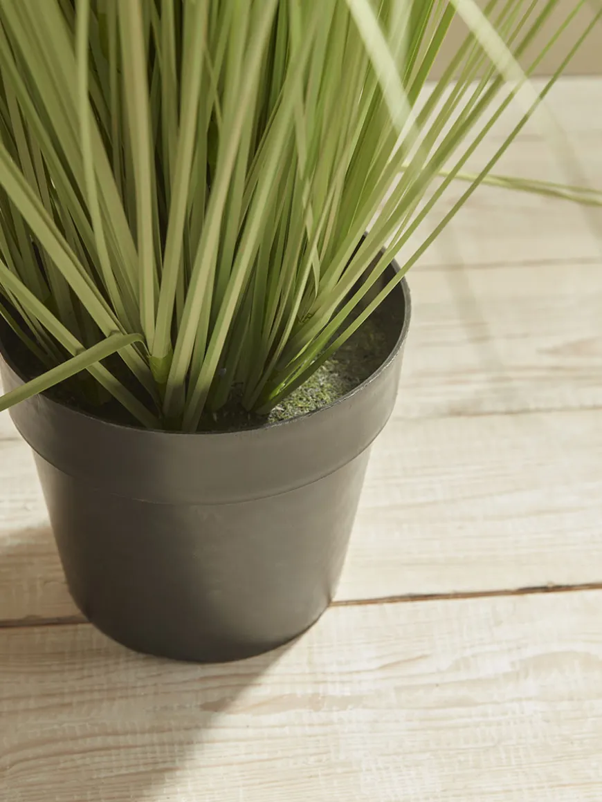 Faux Potted Allium