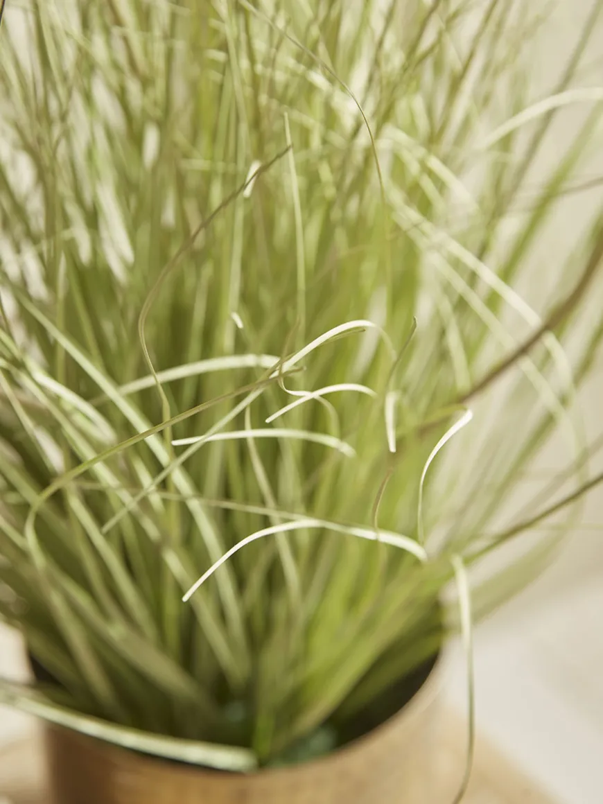 Faux Potted Allium
