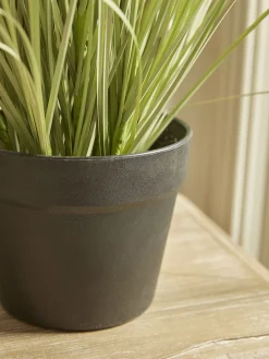 Faux Potted Allium