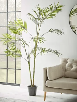 Faux Potted Butterfly Palm