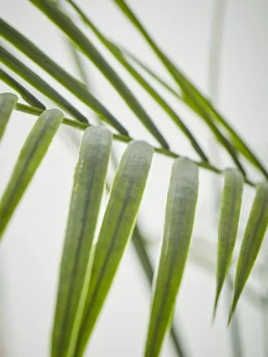 Faux Potted Butterfly Palm