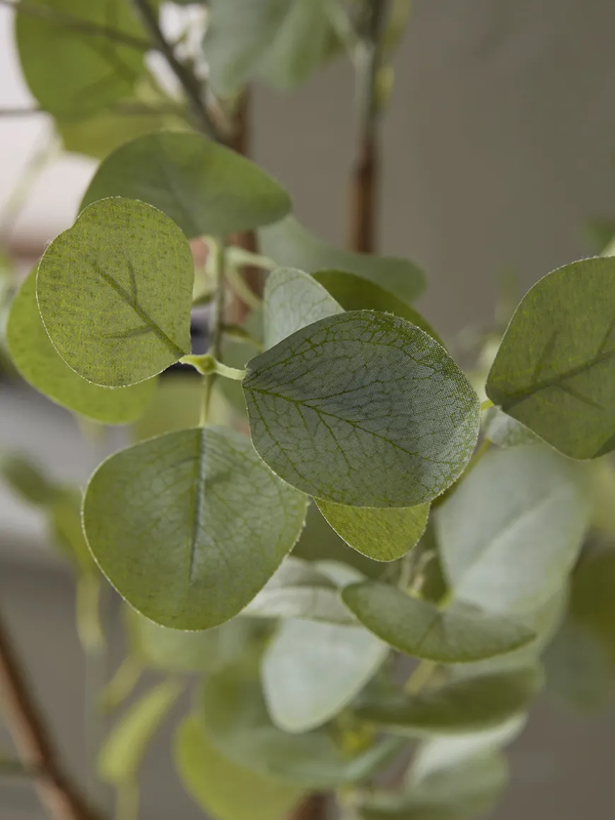 Faux Potted Eucalyptus - Large