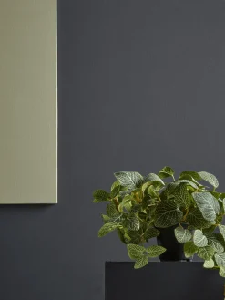 Faux Potted Fittonia
