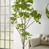 Faux Potted Fruiting Fig Tree