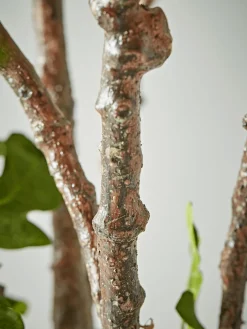 Faux Potted Fruiting Fig Tree