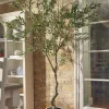 Faux Potted Fruiting Olive Tree