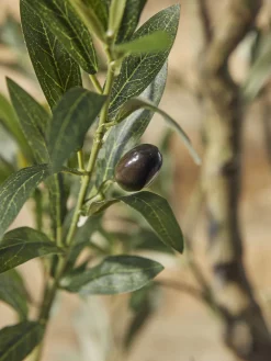 Faux Potted Fruiting Olive Tree