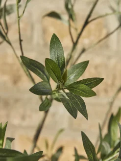Faux Potted Fruiting Olive Tree