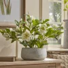 Faux Potted Hellebore - Cream