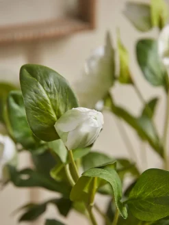 Faux Potted Hellebore - Cream