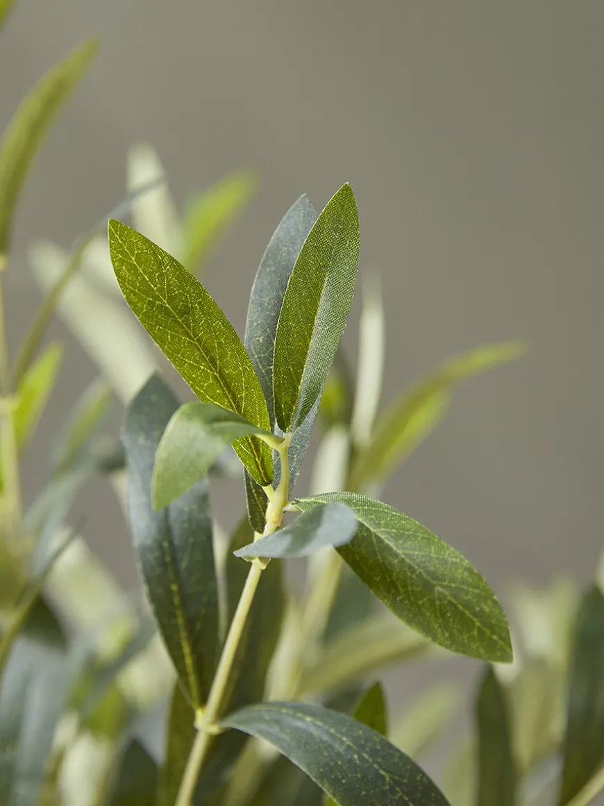 Faux Potted Olive Tree