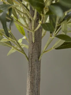 Faux Potted Olive Tree