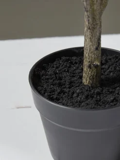 Faux Potted Olive Tree