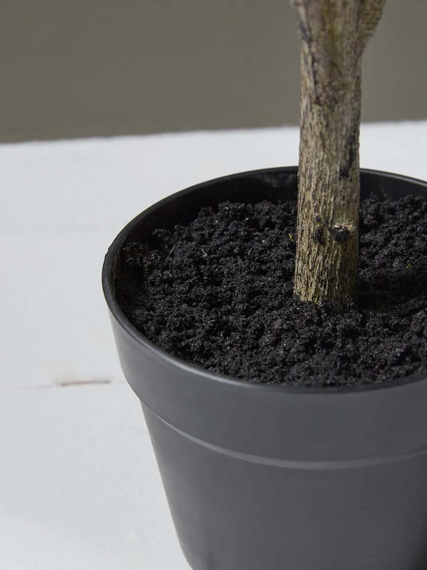 Faux Potted Olive Tree