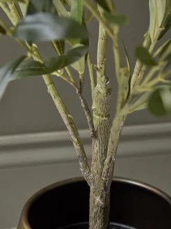 Faux Potted Olive Tree