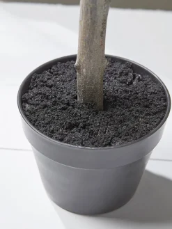 Faux Potted Olive Tree