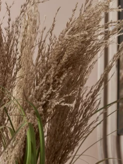 Faux Potted Pampas Grass