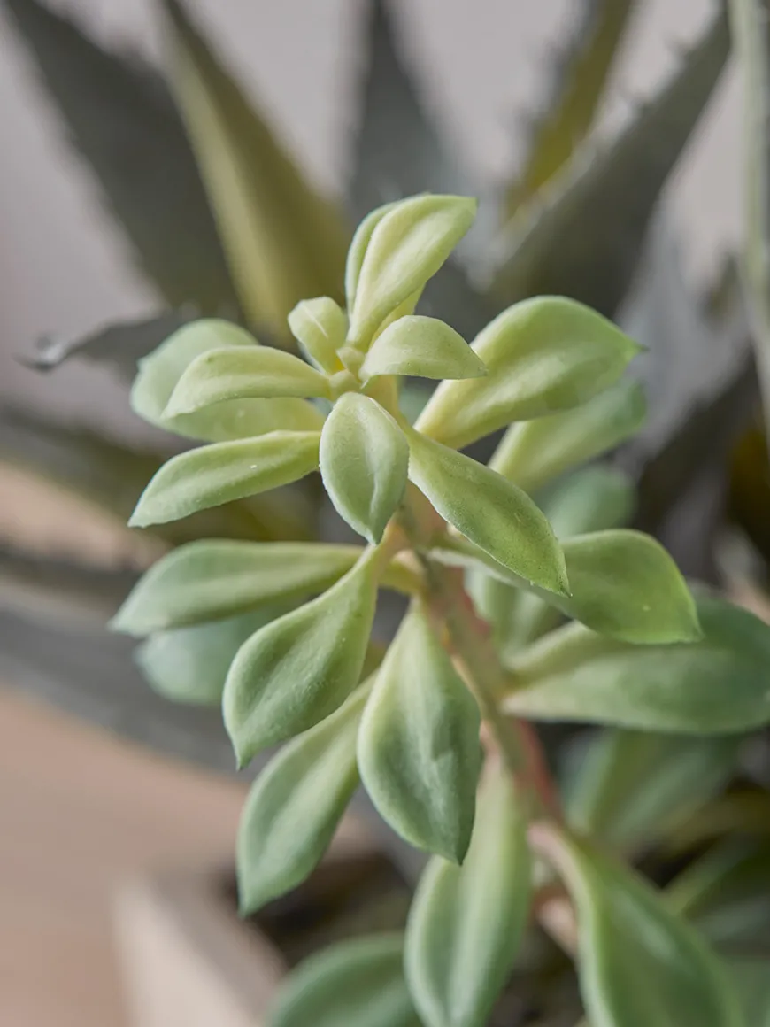 Faux Potted Plants