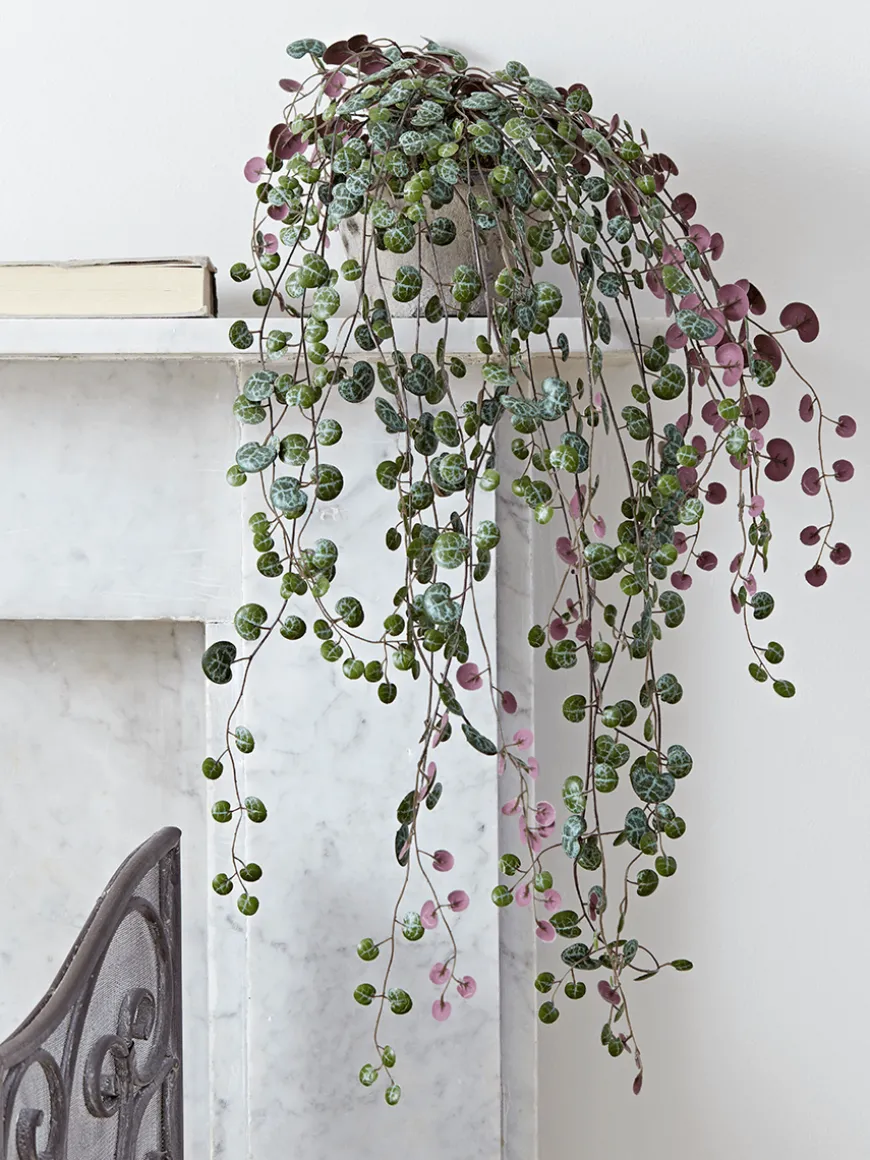 Faux Potted String of Hearts
