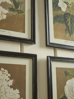 Four Aged Effect Floral Framed Prints