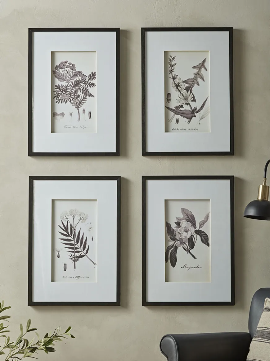Four Botanical Framed Prints