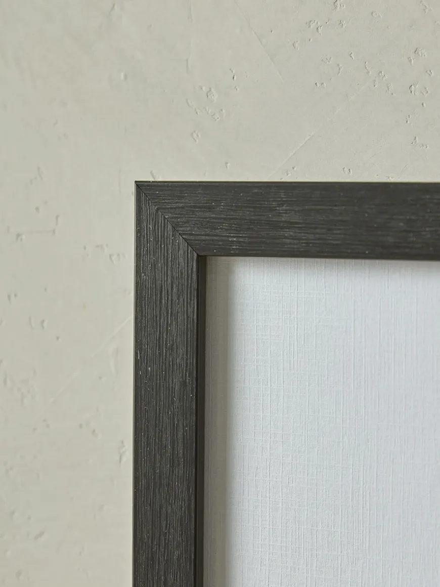 Four Botanical Framed Prints