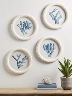 Four Coral Framed Prints