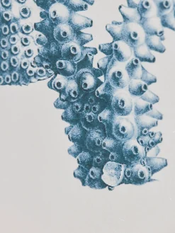 Four Coral Framed Prints