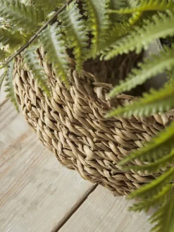 Four Decorative Seagrass Planters