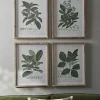 Four Foliage Framed Prints