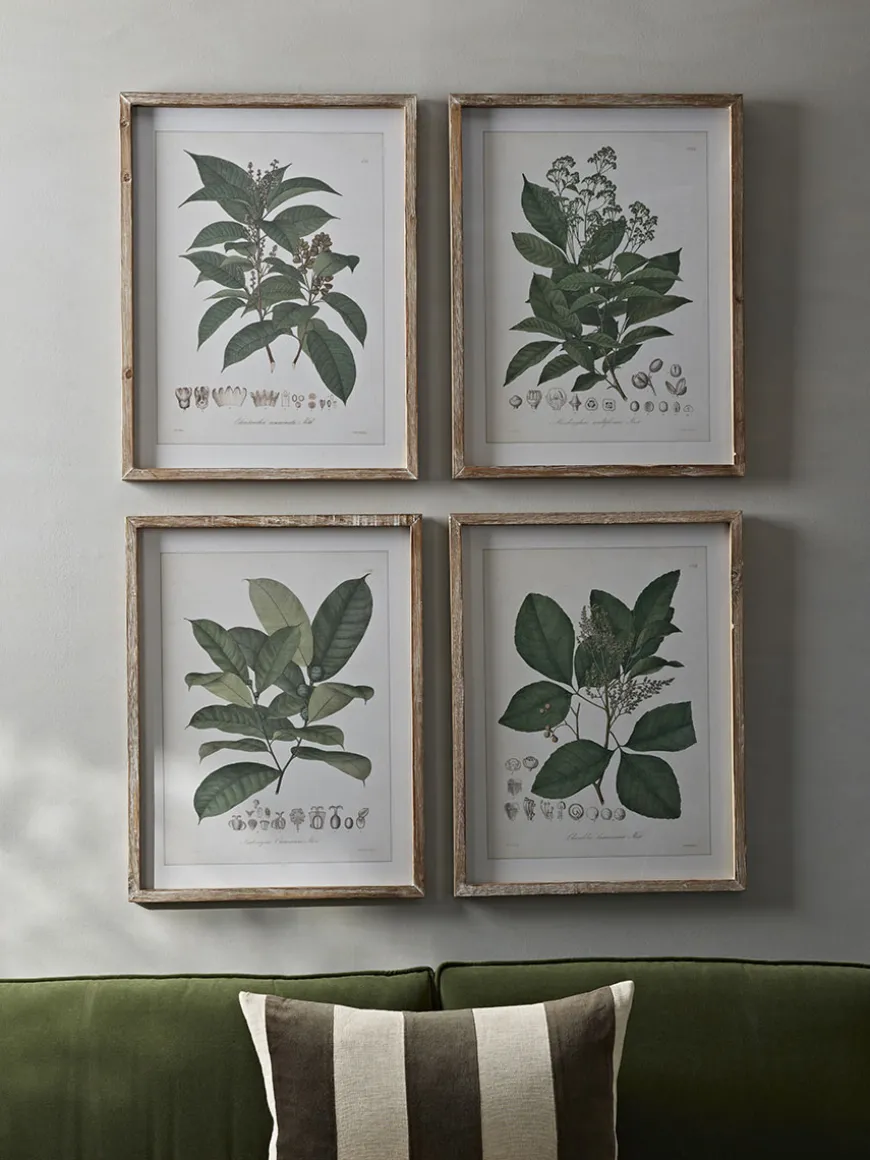 Four Foliage Framed Prints