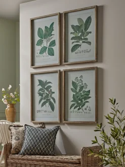 Four Foliage Framed Prints